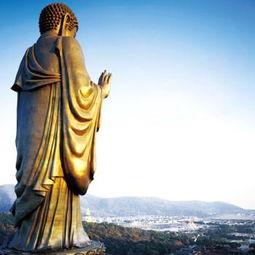 大佛最新爆料视频大全,揭秘幕后真相,带你走进事件核心 第1张 大佛最新爆料视频大全,揭秘幕后真相,带你走进事件核心 第1张