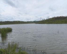 河畔网友爆料视频,一场令人震惊的事件现场  第2张